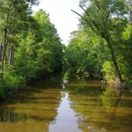 Harlowe Canal, Newport North Carolina
